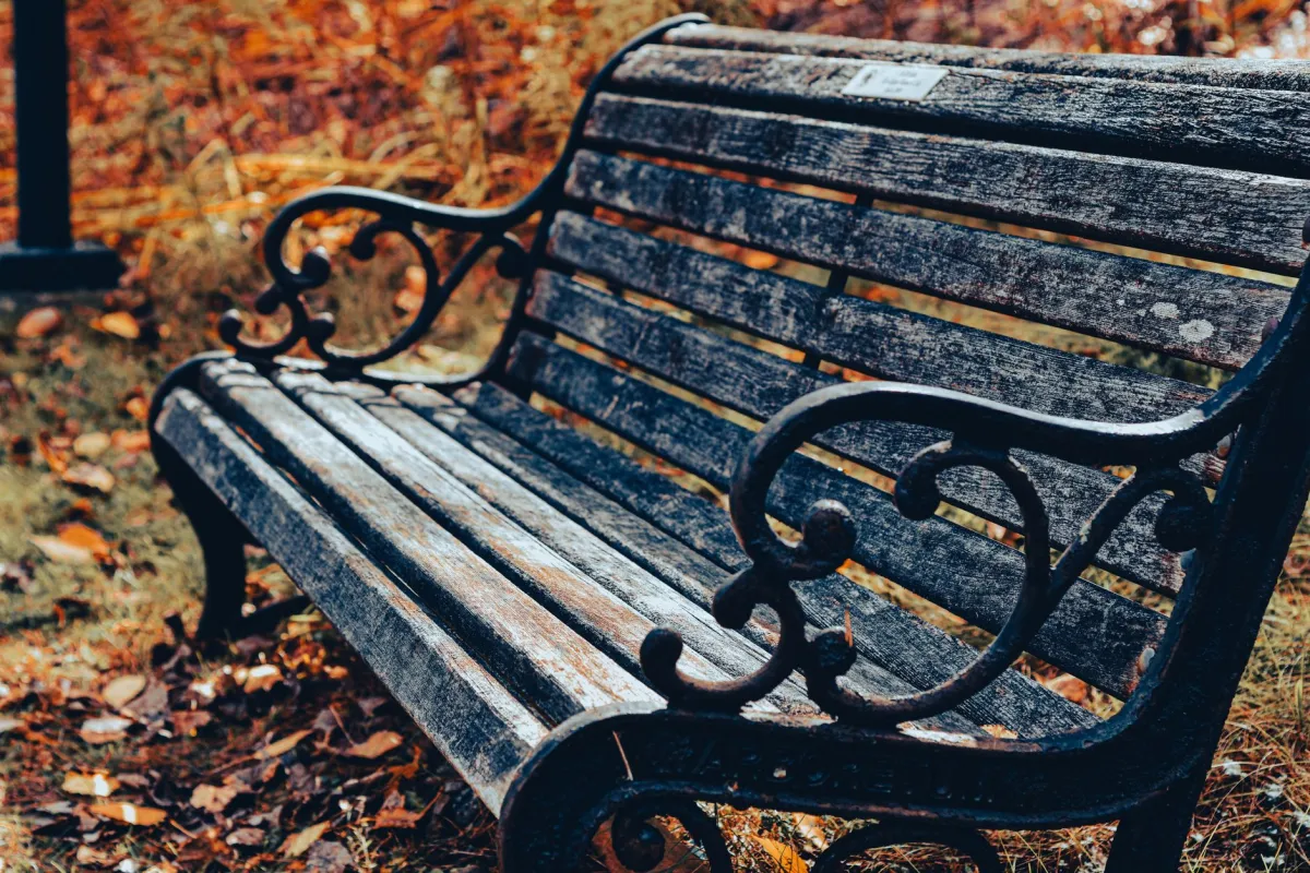 An empty wooden bench surrounded by colorful autumn leaves in a serene park setting.