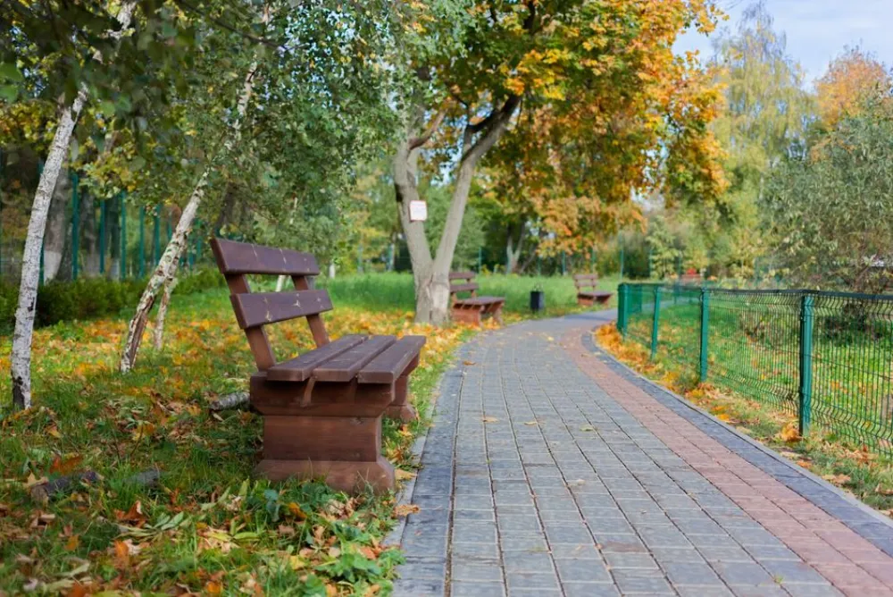 Peaceful park scene with benches, pathway, and colorful autumn trees.