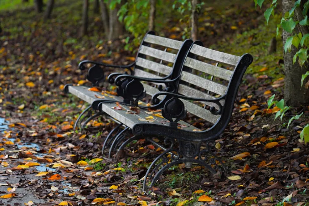 Rustic park benches surrounded by fallen autumn leaves.